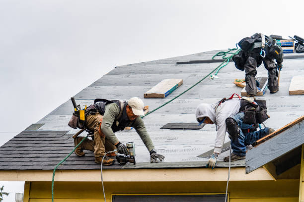 Professional Roofing technician working in Belfair, WA